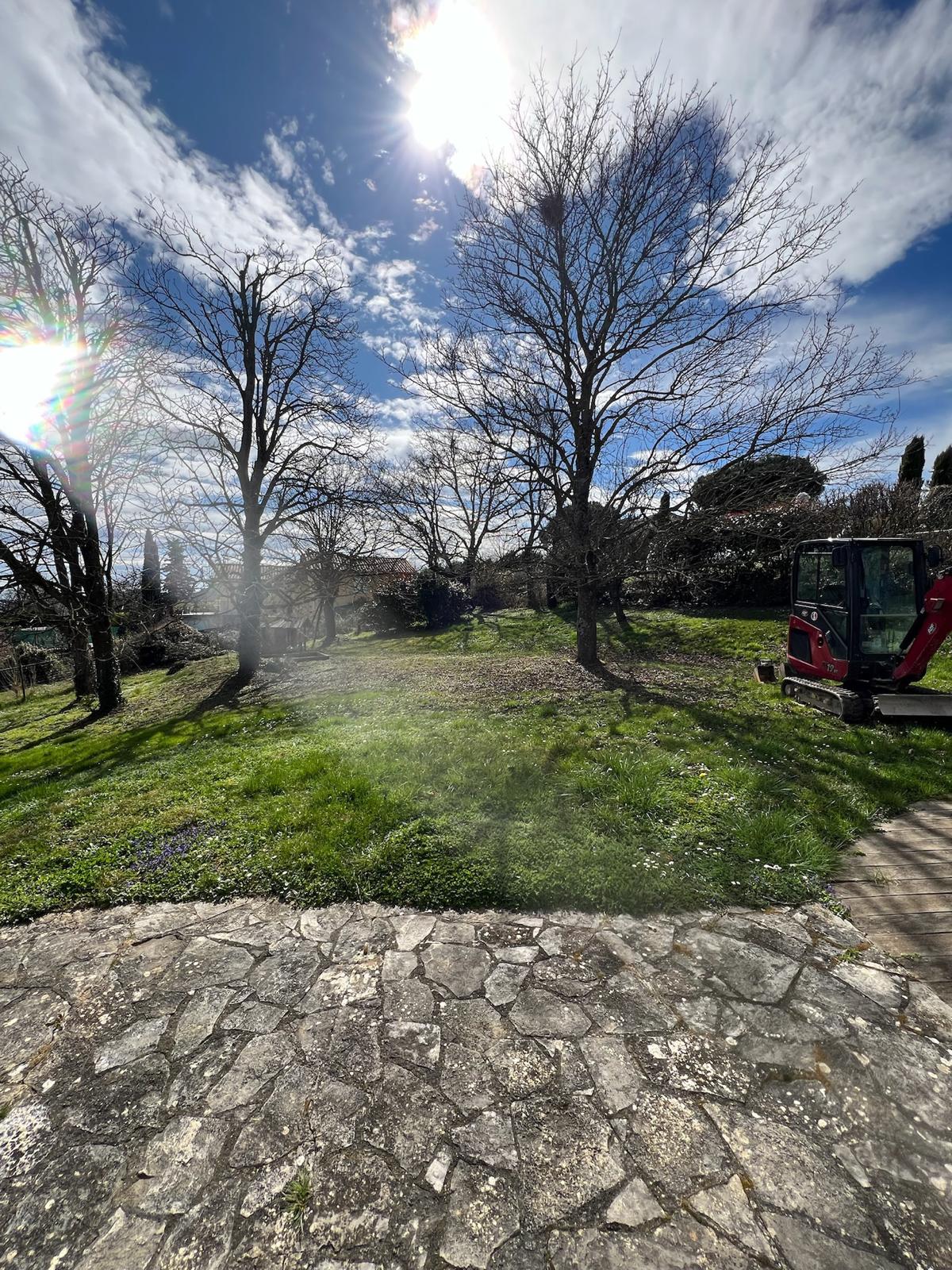 Pelouse d'hiver avec arbres dénudés, excavatrice rouge et patio en dalles de pierre sous un ciel bleu et ensoleillé.