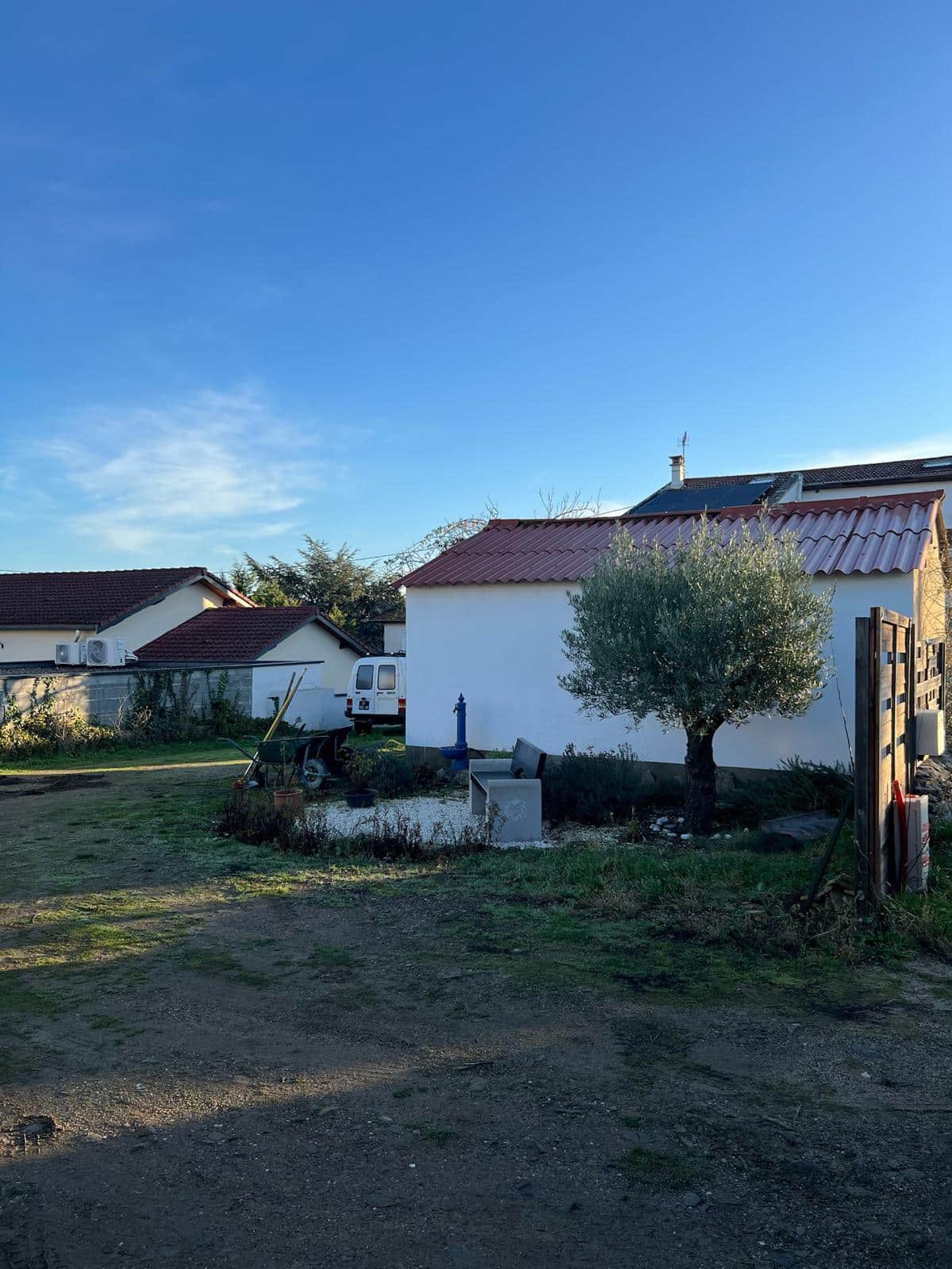 Maison blanche avec toit rouge, olivier au premier plan et ciel bleu dégagé par un matin ensoleillé.