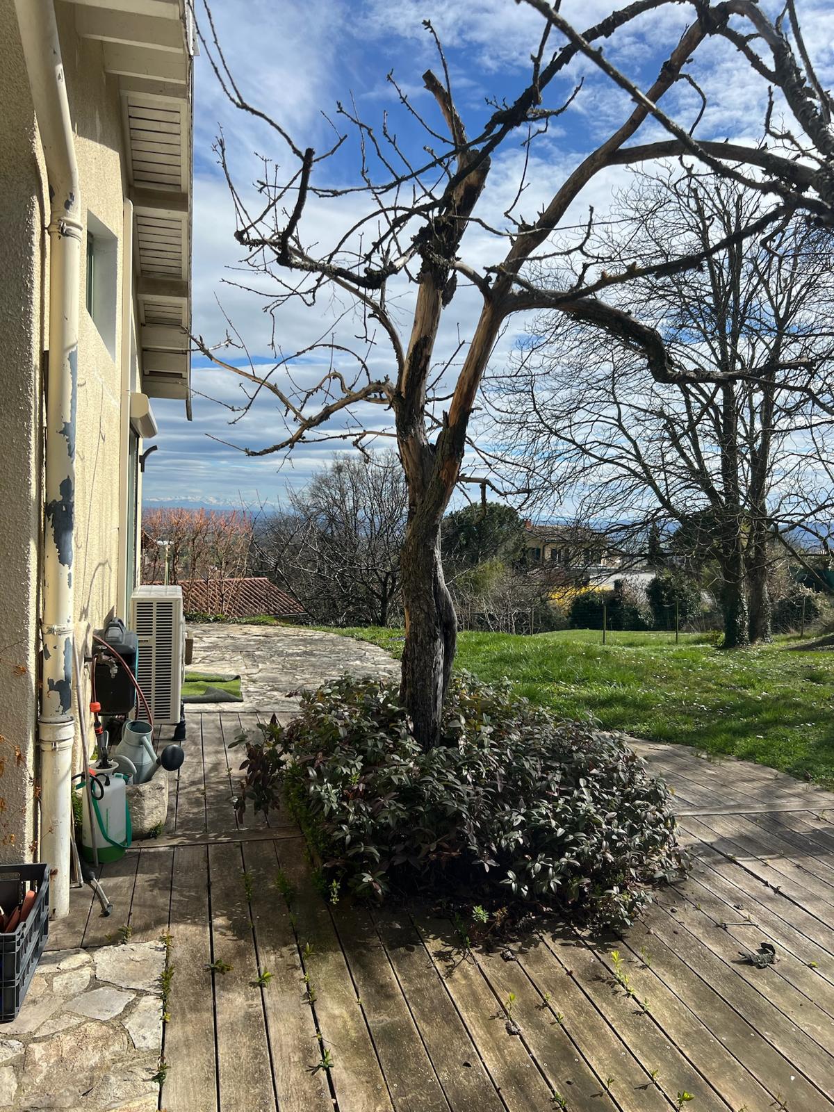 Terrasse en bois devant une maison avec un arbre dénudé et un climatiseur, vue sur un paysage vallonné bleu sous un ciel nuageux.