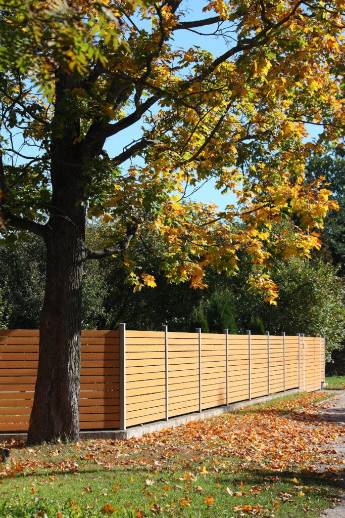 Automne: Arbre jaune, clôture bois et feuilles mortes Arbre aux feuilles jaunes d'automne près d'une clôture moderne en bois clair, avec des feuilles mortes sur l'herbe verte.