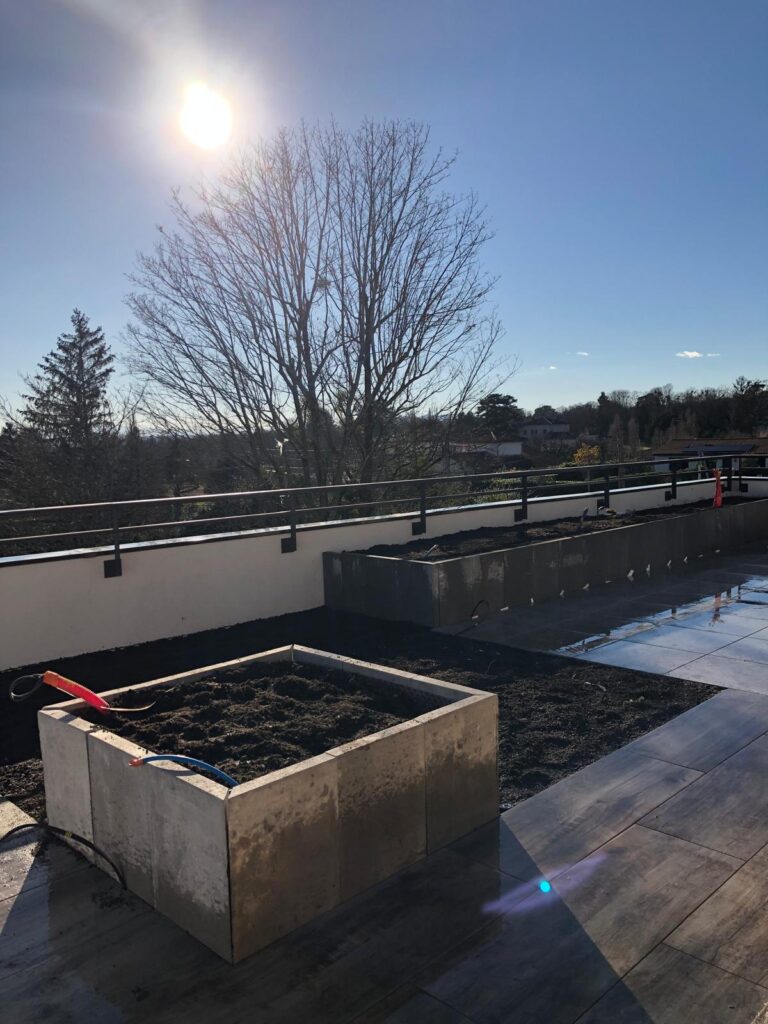 Création de jardin sur terrasse en plein soleil Terrasse ensoleillée avec jardinières en béton remplies de terre noire et un grand arbre dénudé au soleil.